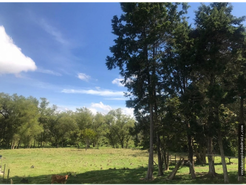 lote industrial para venta en guarne rural