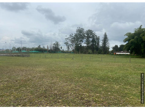 lote comercial en venta en rionegro chipre