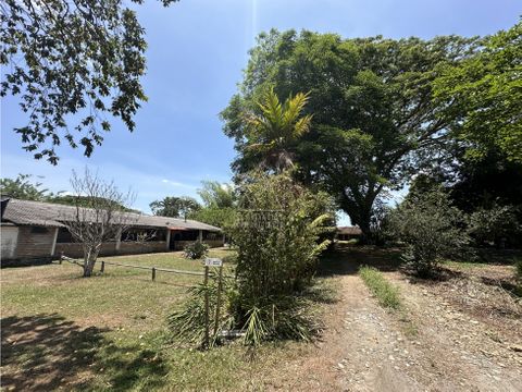 se vende finca productiva once casas montenegro