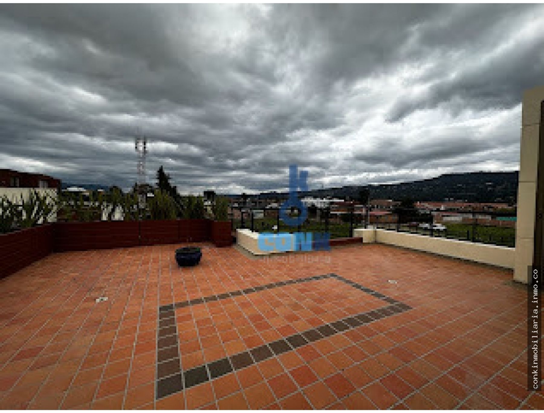 Imagen 31 de 39