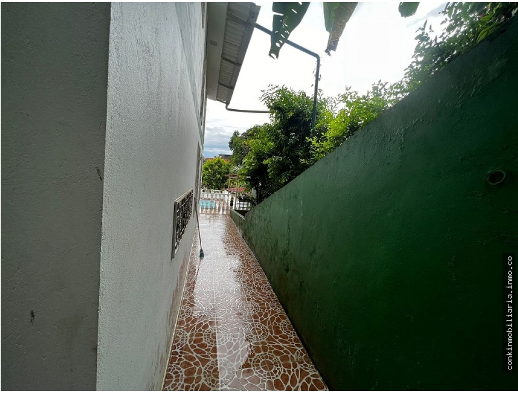Imagen 18 de 31