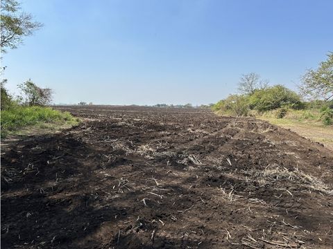 terrenos urbanizados para bodega en carretera al salvador