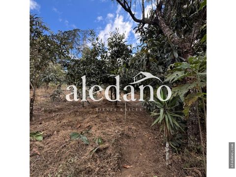 terreno rustico en san juan del obispo