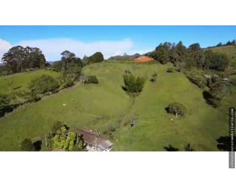 espectacular y amplio lote en rionegro en venta vereda capiro