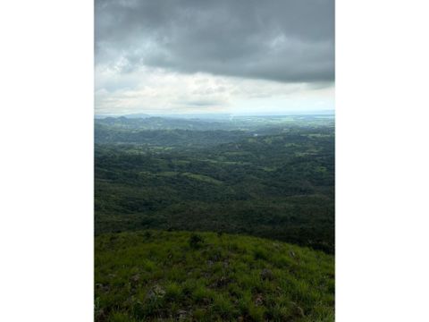 high yield livestock farm miramar de puntarenas