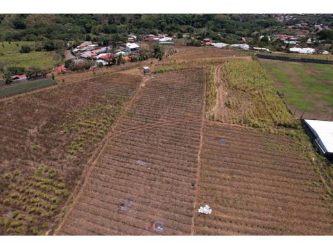 large flat land in tacares perfect for development