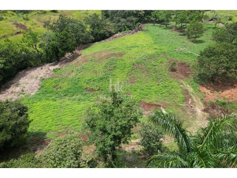 commercial land for sale in la argentina grecia