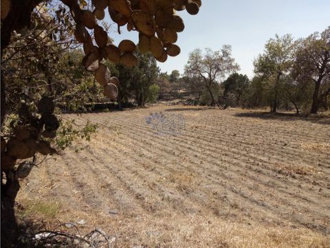 venta de terreno en tetla para rancho con casona de piedra