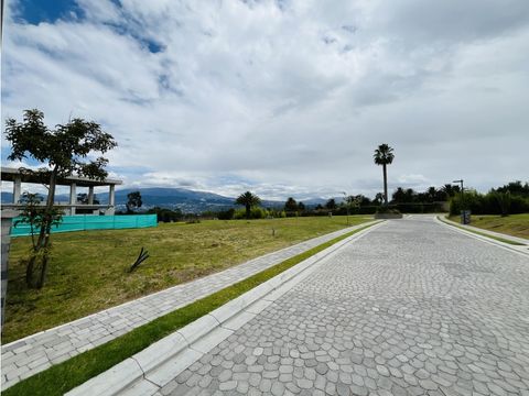 puembo terreno en venta 56039m2 2 pisos