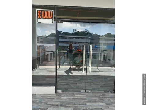 alquiler local brisas del golf