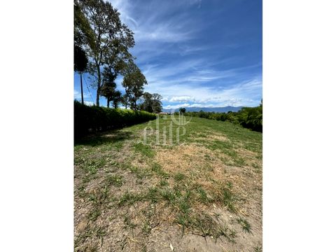 lotes en venta en quimbaya