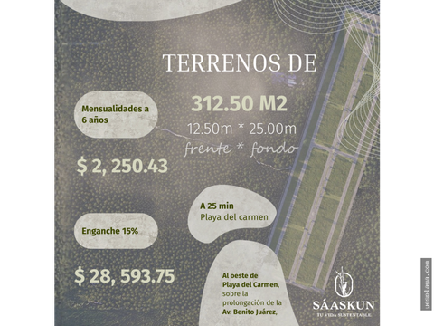 saaskun terreno de 31250 m2