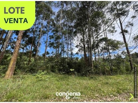 lote en venta rionegro abreo