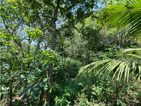 se vende lote de terreno ubicado en dolores municipio de carazo