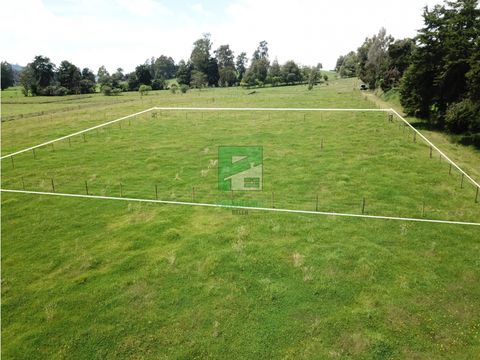 se vende hermoso lote ubicado en san pedro de los milagros 1966 mts2