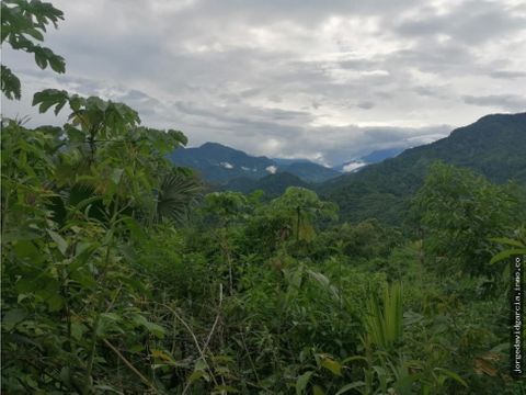 lotes en venta en santa marta por el parque tayrona