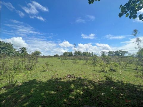 se vende finca en sona veraguas