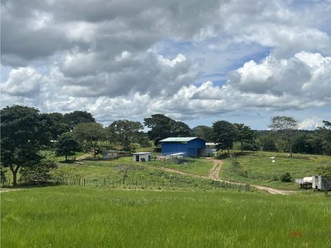 se vende finca en la arenosa chorrera