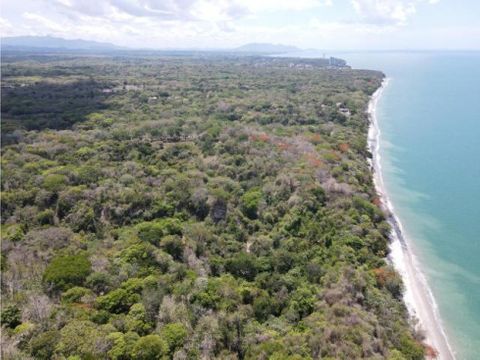 se vende terreno en san carlos las uvas