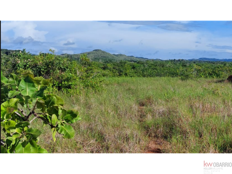 se venden hectareas en los pozos anton cocle