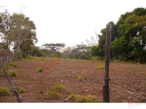 terreno en venta tambo penonome mch