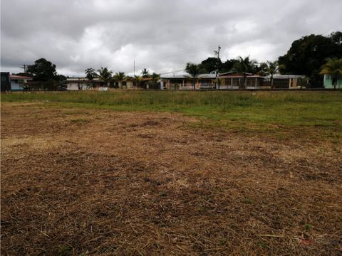 alquilo terreno en la chorrera sector el harino mmm