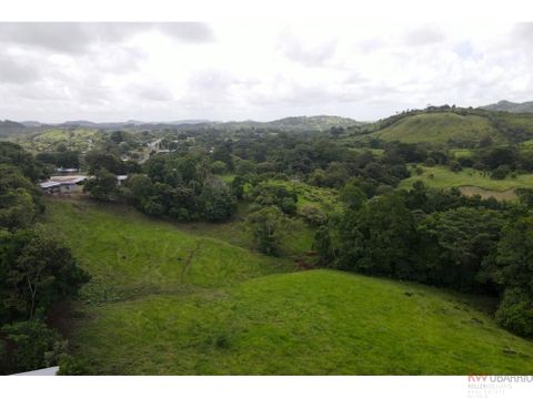 se vende finca en la chorrera panama oeste