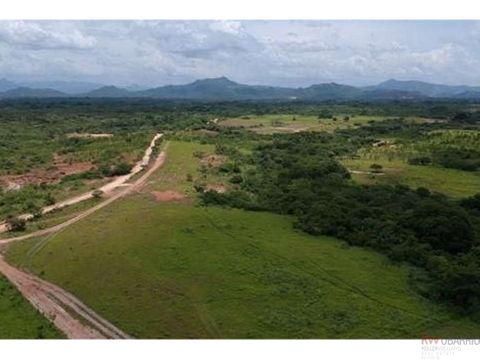 venta de finca en penonome cocle