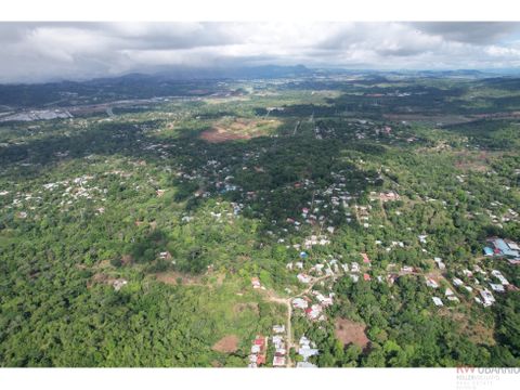 se vende finca en pedregal villalobos