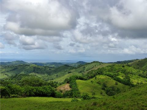 en venta finca ganadera en chepo lomas del naranjo