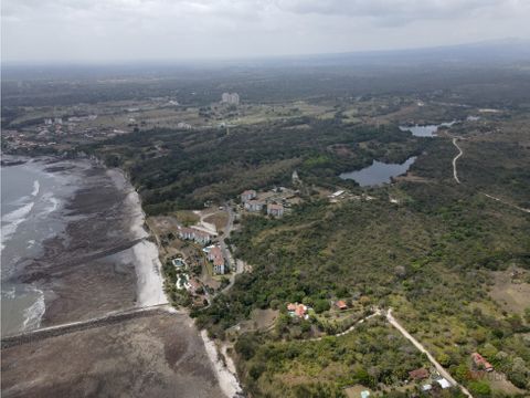 se venden hectareas en costa esmeralda san carlos