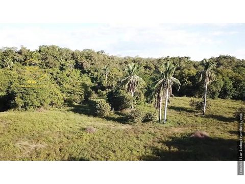 se vende lote de terreno vereda patio bonito carmen de apicala