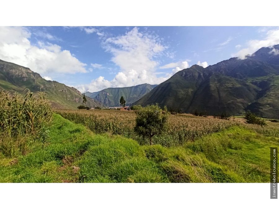 vendo terreno de 3672 m2 valle sagrado de los incas taray cusco peru