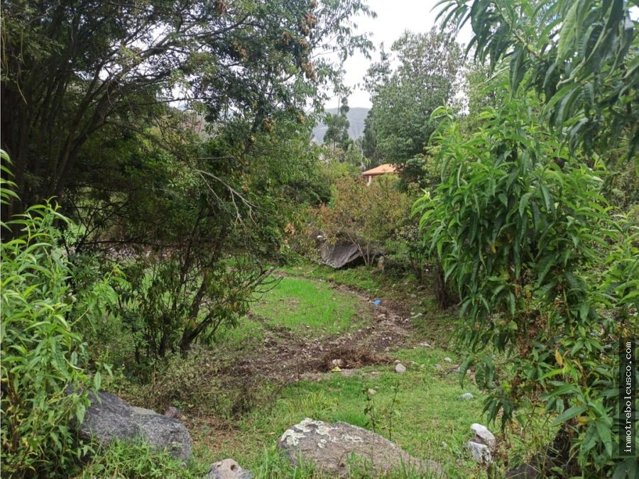 vendo terreno 4980 m2 valle sagrado yanahuara urubamba cusco peru