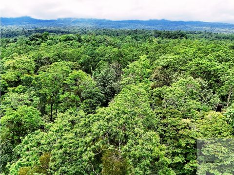 finca con fuentes de aguas termales el gavilan de upala