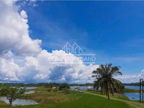 se vende finca de 90 ha a orillas del lago bayano