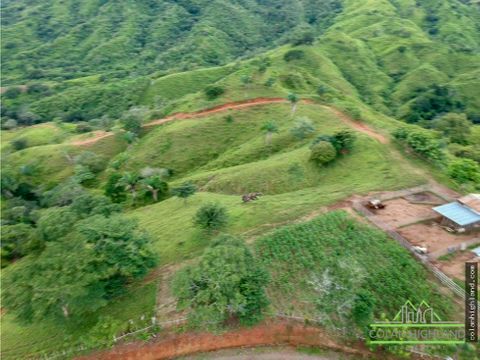 se vende finca de 2085 ha en macaracas los santos