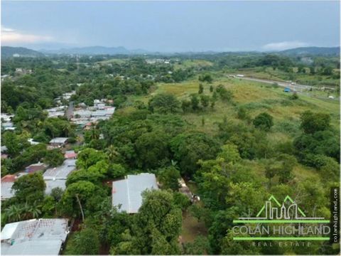 se vende finca de 2 hectareas en pedregal