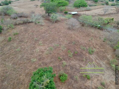 se vende finca de 52 ha en paritilla los santos