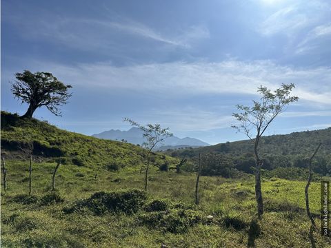 se vende finca de 220 hectareas en volcan chiriqui mls 22066