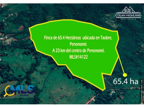 se vende finca de 654 hectareas en toabre penonome cocle