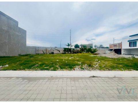 venta de lote en momoxpan