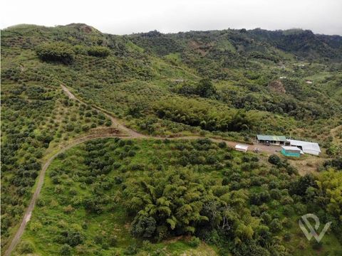 finca productiva y lote en fresno tolima