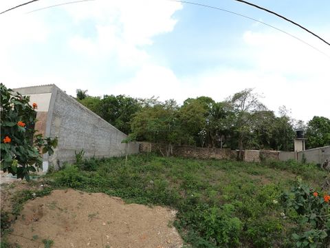 venta lotes de 250 m2 en turbaco urb alenjandria