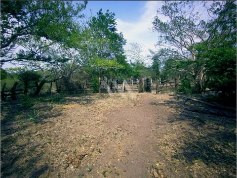 venta rancho tampico alto veracruz