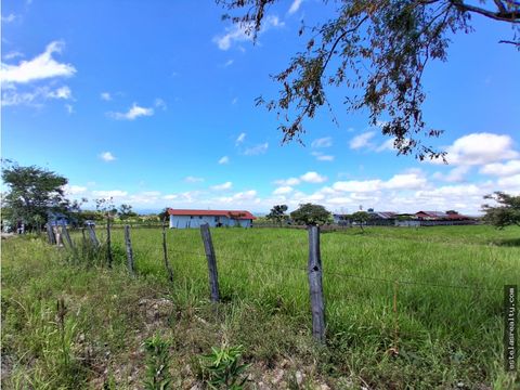 lote en venta en alto boquete boquete chiriqui
