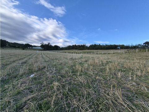 venta de lotes en la vereda poravita oicata