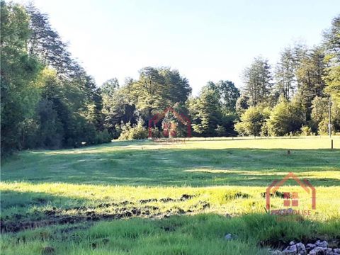 hermosa parcela con agua ilimitada en villarrica