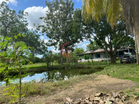 finca con buenos atributos y privilegios