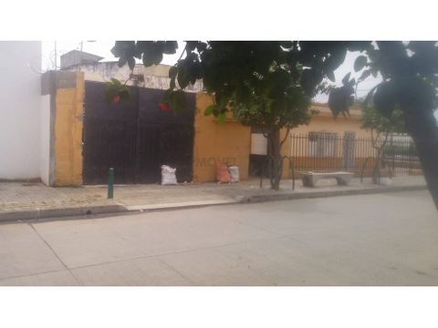 bodega centro